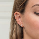 she stud him up earrings